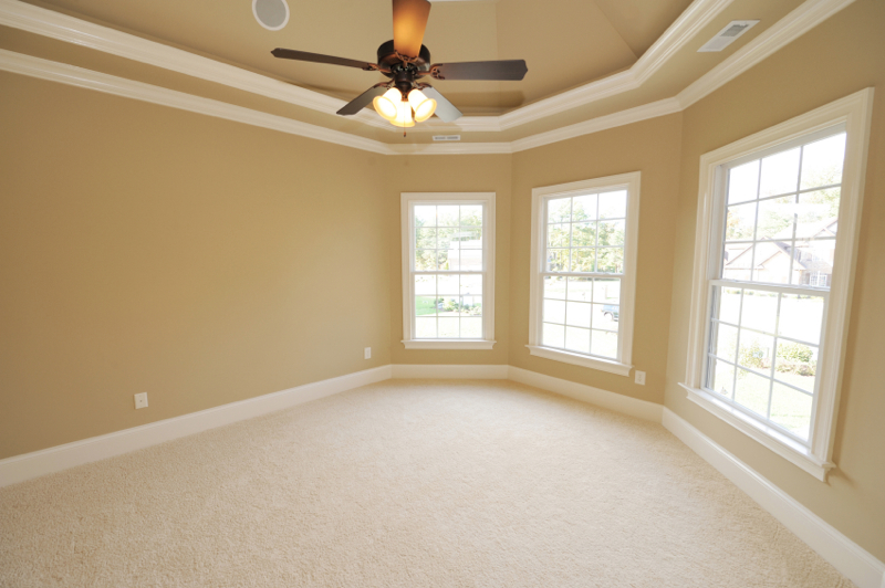 Beautiful Carpet
